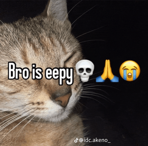 a cat with the words bro is eepy written on its face