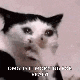 a black and white cat is crying and looking at the camera .