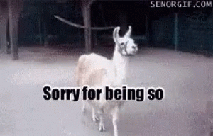 Llama Sorry For Being So Fabulous GIF - Llama Sorry For Being So Fabulous Spin GIFs