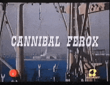 Cannibal Ferox Movie Italian Cinema GIF - Cannibal Ferox Movie Italian Cinema Umberto Lenzi GIFs