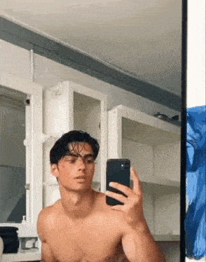 a shirtless man is taking a picture of himself in the mirror .