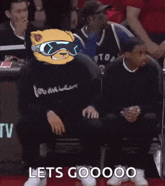 a man wearing a raptors jersey stands in the stands