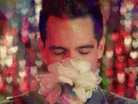 Panic At The Disco Brendon Urie GIF - Panic At The Disco Brendon Urie Flower GIFs
