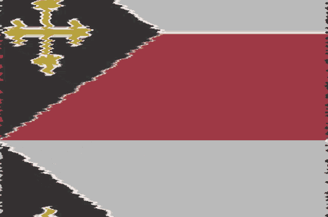 a red white and black flag with a gold cross