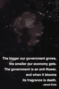 the bigger our government grows the smaller our economy gets the government is an anti-flower when it blooms its fragrance is death