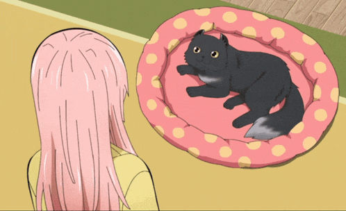 a black cat is laying on its back on a pink polka dot dog bed