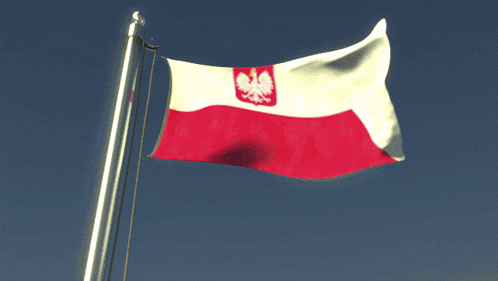 a red and white flag with a eagle on it