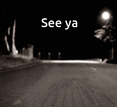 a black and white photo of a raccoon walking down a street with the words " see ya " above it