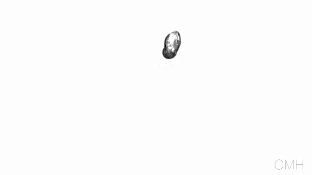 a black and white drawing of a person 's footprints on a white background .