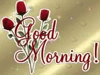 Good Morning Roses GIF - Good Morning Roses GIFs