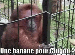 Guigou La Banane GIF - Guigou La Banane GIFs