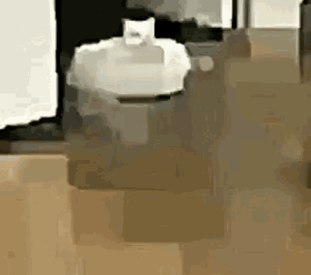 Roomba Cat Sd GIF
