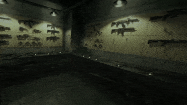 a bunch of guns are hanging on a wall