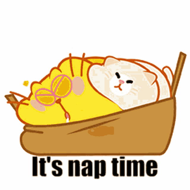 a cartoon cat is sleeping in a bag with the words it 's nap time