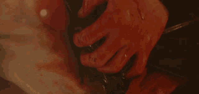 a close up of a person 's hands holding a piece of food