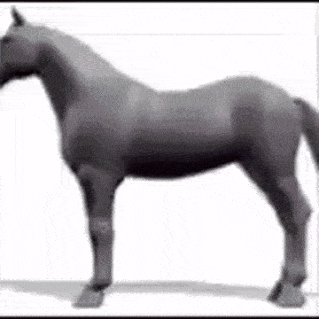 a black horse is standing on its hind legs on a white surface .