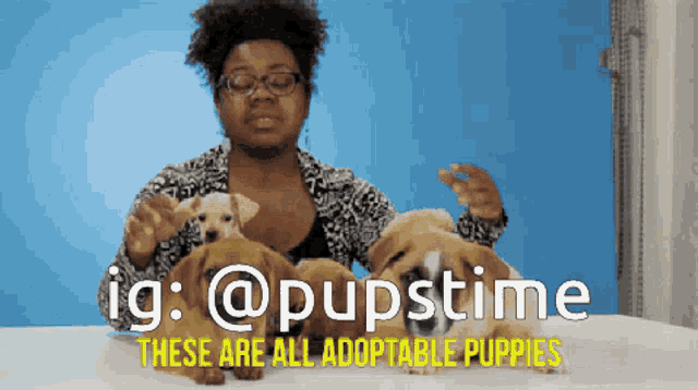 a woman sitting at a table with three puppies and the words ig @pupstime these are all adoptable puppies below her