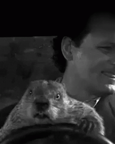 Groundhog Day GIF - Groundhog Day Snickering GIFs