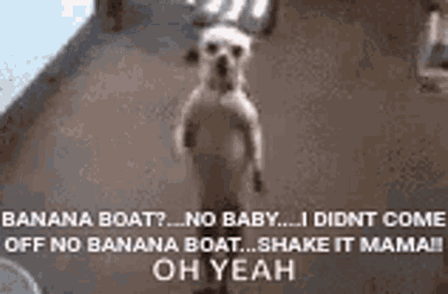 a dog is standing on its hind legs with a caption that says banana boat ? no baby .