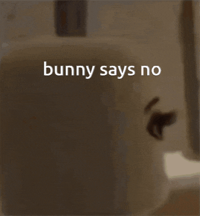 a close up of a person 's face with the words " bunny says no " below it