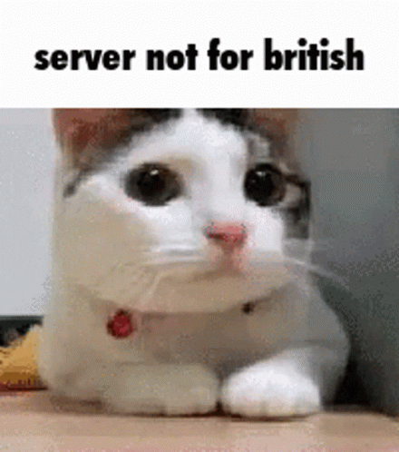 Cat British GIF - Cat British GIFs