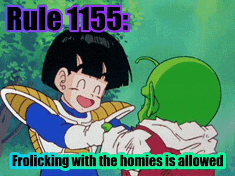rule 1155 frolicking with the homies is allowed is displayed on a poster