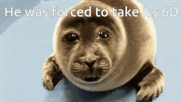 a picture of a seal with the words he was forced to take ics 6d above it
