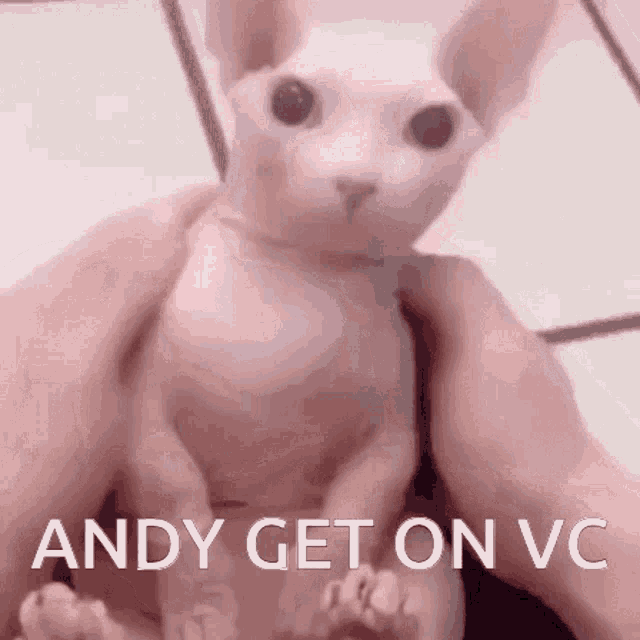 Andy Get GIF - Andy Get On GIFs