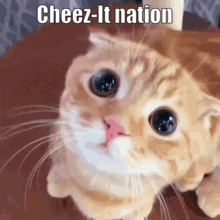 Cheez-it Nation GIF - Cheez-it Nation Cheez-it Nation GIFs