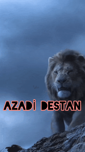 Azadi Destan Desto GIF - Azadi Destan Desto Azadi Dest GIFs