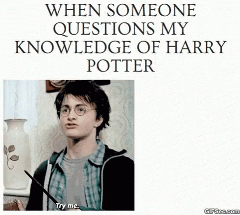 Harry Potter Daniel Radcliffe GIF - Harry Potter Daniel Radcliffe Try Me GIFs