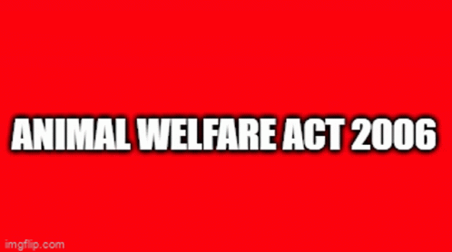 Animal Welfare Animal GIF - Animal Welfare Animal Legislation GIFs