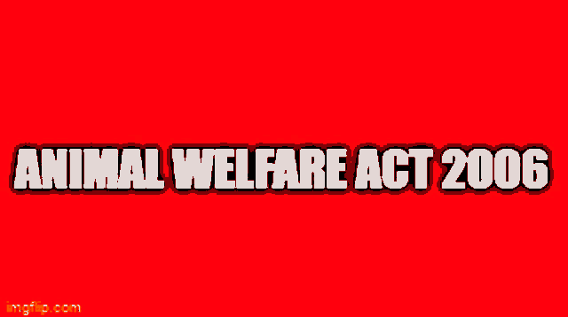 a red background with the words animal welfare act 2006 written on it