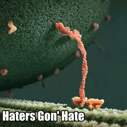 Haters Molecule GIF - Haters Molecule Science GIFs