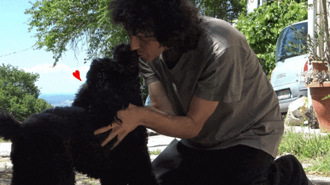 a man petting a black dog with a car in the background that says citroen
