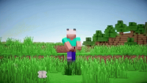 My Face Must Be Beautiful Then GIF - Minecraft GIFs