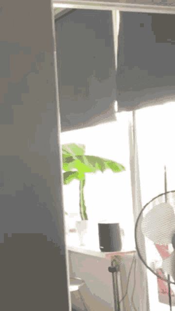 a window with black blinds and a potted plant on it