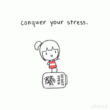 Stress To Do List GIF - Stress To Do List Conquer GIFs