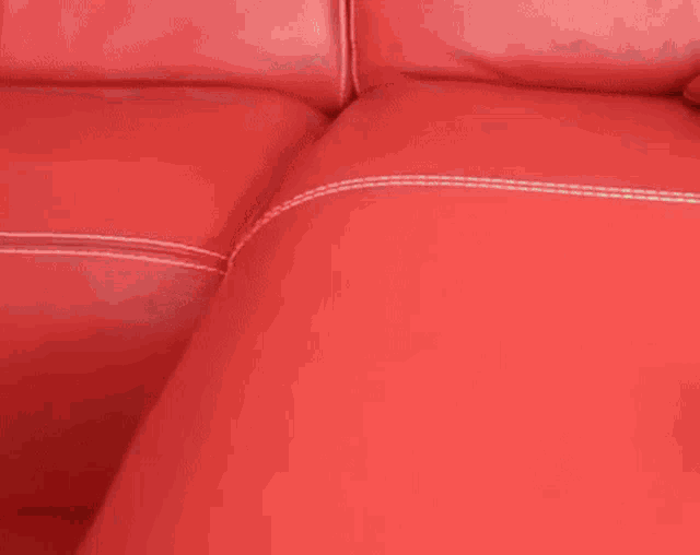 a dog is playing with a ball on a red leather couch .