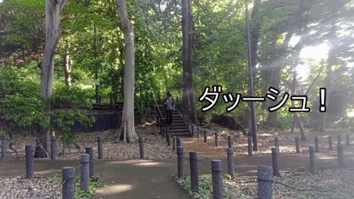 a person walking up a set of stairs in a forest with a sign that says dash