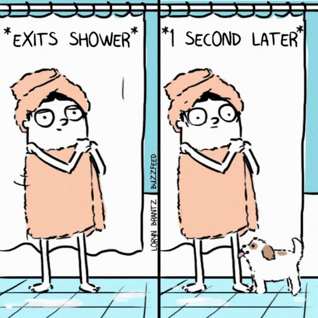 Dog Shower GIF - Dog Shower Lick GIFs