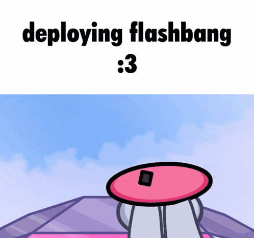 a picture of a cartoon character with the words " deploying flashbang : 3 "