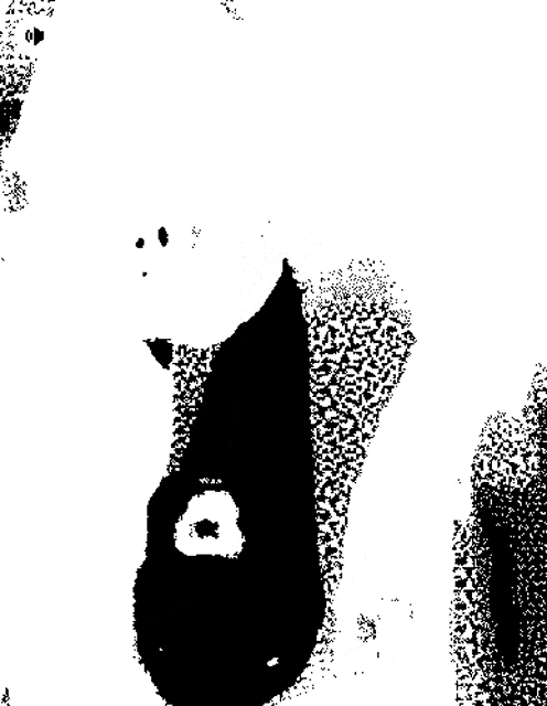 a black and white image of a person 's face