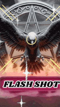 a picture of an eagle holding a sword with the words flash shot on the bottom