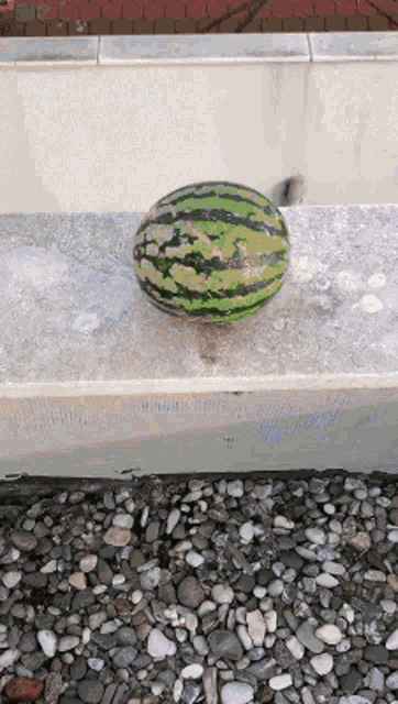 Eating Push Up GIF - Eating Push Up Watermelon GIFs