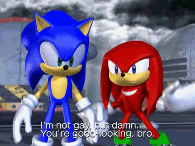 sonic the hedgehog and knuckles are standing next to each other and knuckles says i 'm not gay but damn