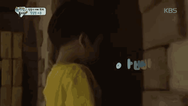 a blurry picture of a person with the kbs logo