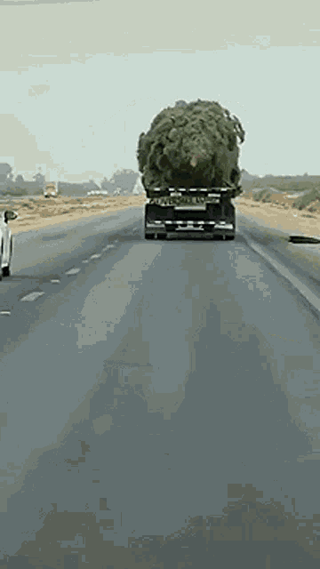 Truck Monster GIF