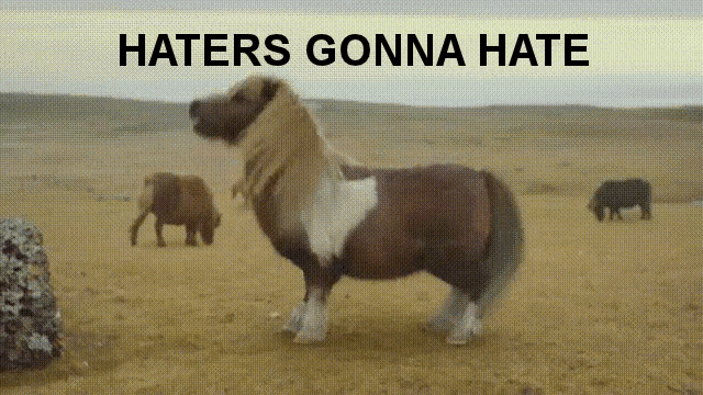 I Dont Care Bout No Haters Idc GIF - I Dont Care Bout No Haters Idc Haters Gonna Hate GIFs