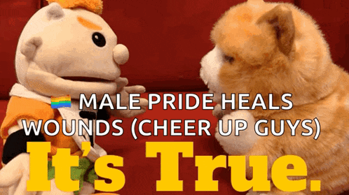 male pride heals wounds cheer up guys it 's true poster
